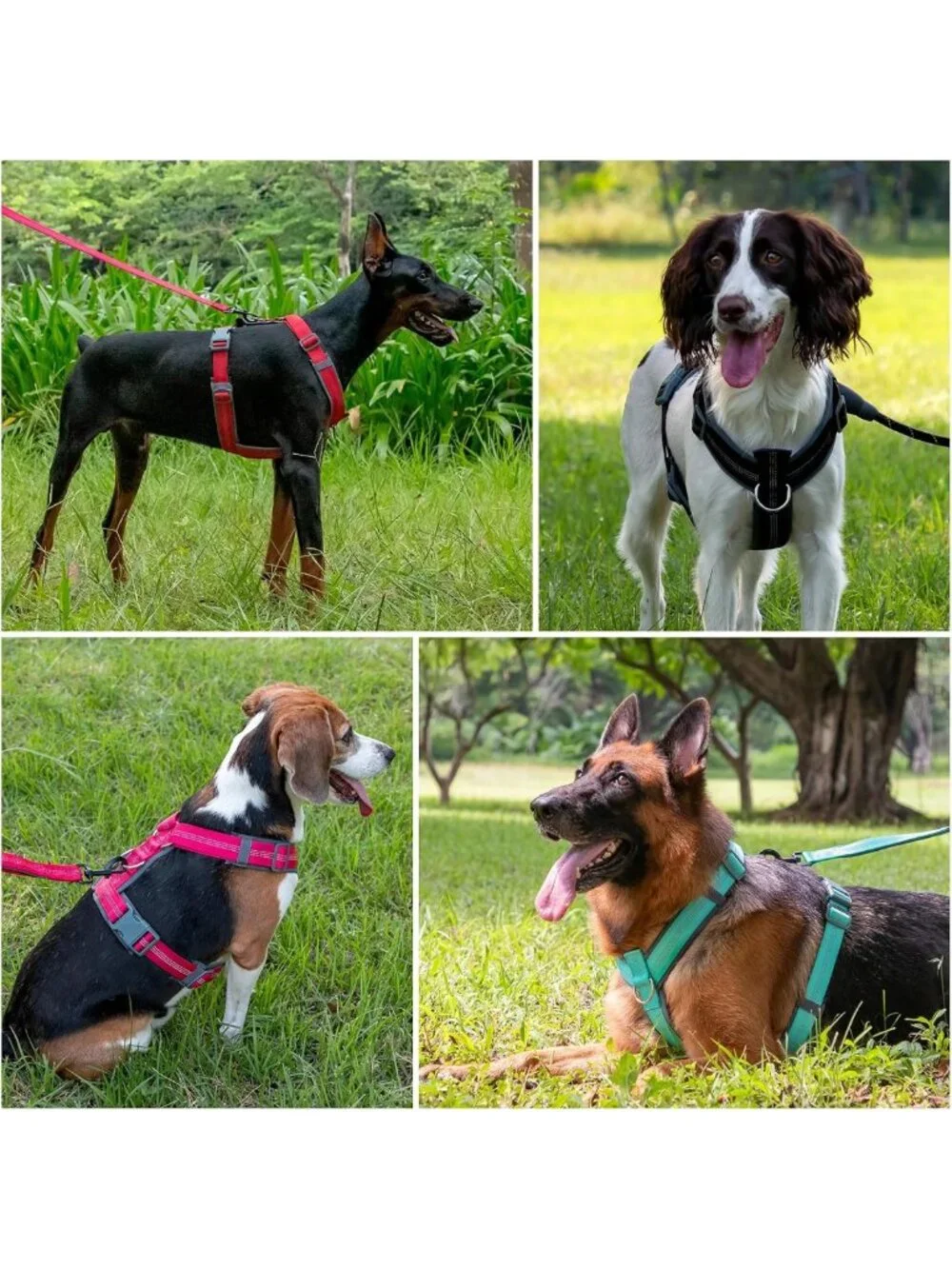 Adjustable No Pull Dog Harness | Soft Padded, Reflective, Heavy Duty for